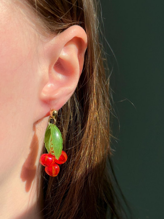 Autumn Rowan Hairpin And Earrings, Wooden Hairpin, Hypoallergenic Steel Earrings, Shrink Plastic